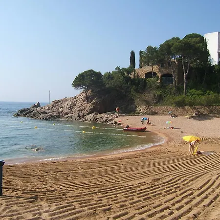 Wonderful Loft In Cala Salionc Apartment